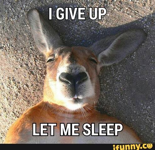 MultipleServEq's tweet photo. At least let us go back to bed ... #LongestFriday of the year! #FridayFeeling #MSECKC #FridayThoughts #1KCDEaler #FPDealer https://t.co/rU4NeoLHsX