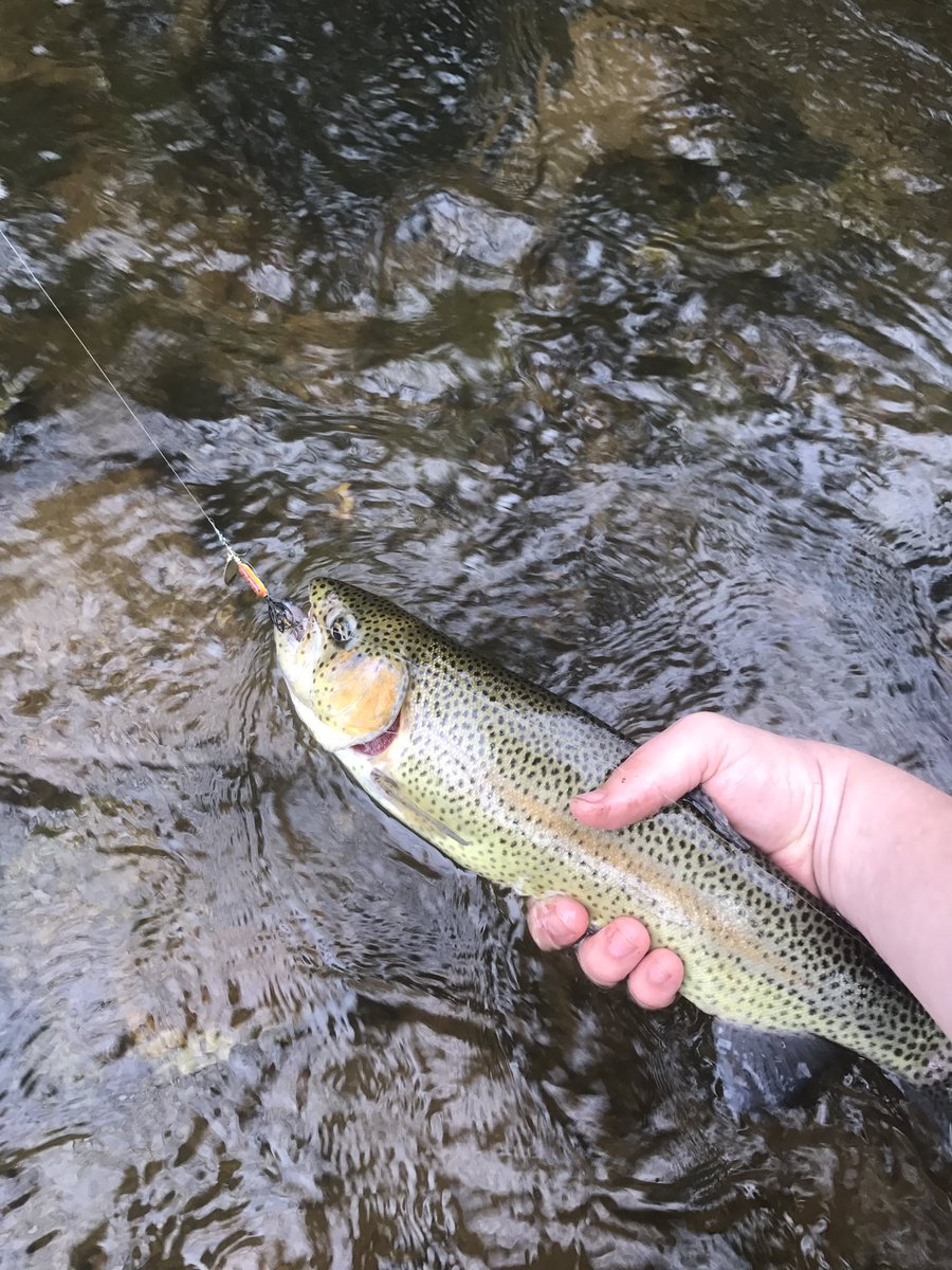 LCFishing_'s tweet photo. Beaut https://t.co/a8jbWRELlX