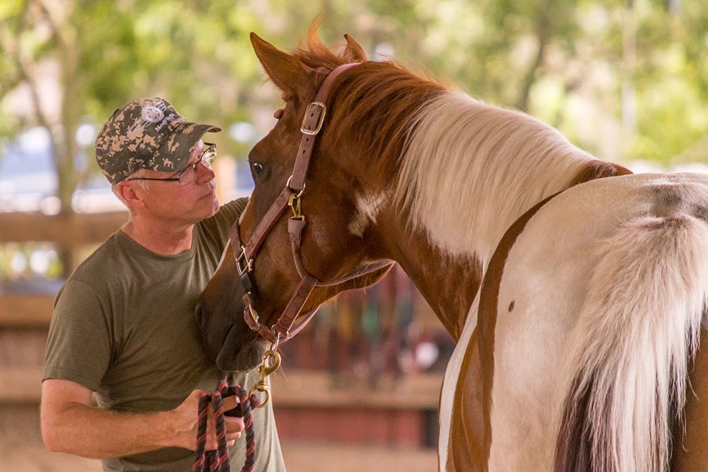 quantumleapfarm's tweet photo. June #WMAE Retreat happening now! Keep our vets in your thoughts as they move forward in healing. 💗🐴 #equinetherapy #PTSD #alwaysforward https://t.co/5071NIyDZg