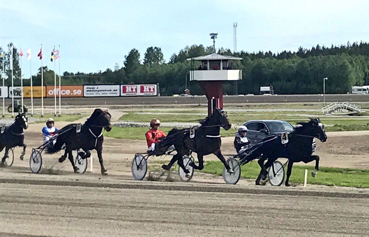 JSTFrasse's tweet photo. Stor travsport på #hagmyren idag. Otroliga hästar #mjølnerherkules #ingbest #pydin #kallblod https://t.co/3p5aUw59mB