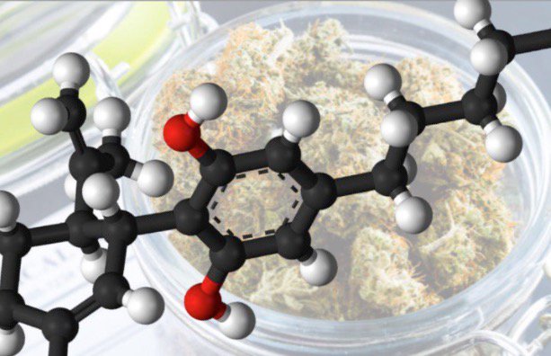 Common cannabinoids found in marijuana: bit.ly/5-canna