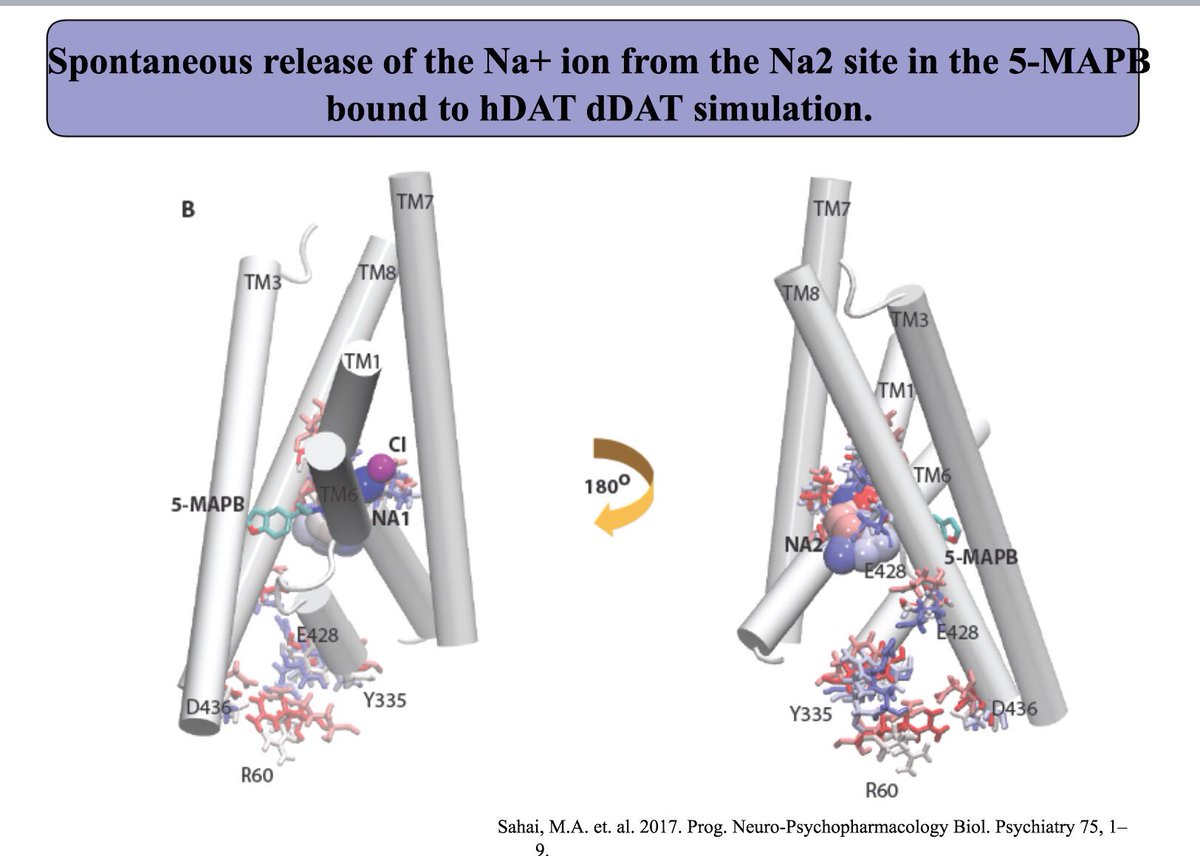 UoR_LifeScience's tweet photo. In silico insights into interactions between psychoactive substances &amp; their biological targets @sahai_michelle #compchem #HSRCresearch https://t.co/lFa6XtxbQk