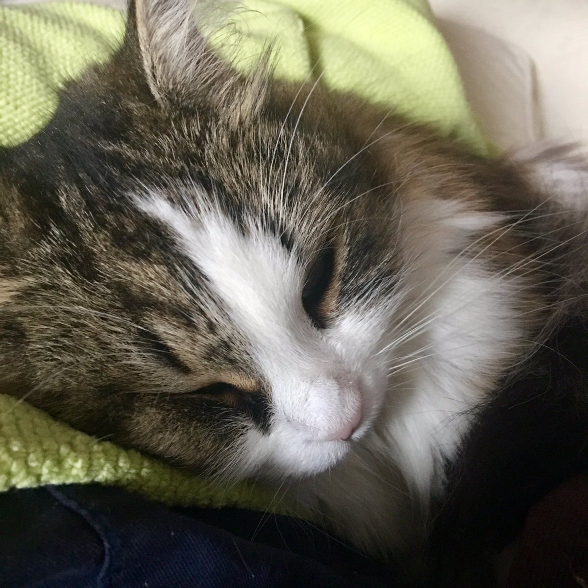 duffleslive's tweet photo. #FridayNiteDuffles ❤️ #Donefortheday https://t.co/tAPXjZSi6a