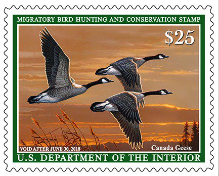 DucksUnlimited's tweet photo. The 84th Federal Migratory Bird Hunting and Conservation Stamp is now on sale. #FirstDayofSale #DuckStamp https://t.co/UbWJq8Rs90 https://t.co/1YtQFMa5tp