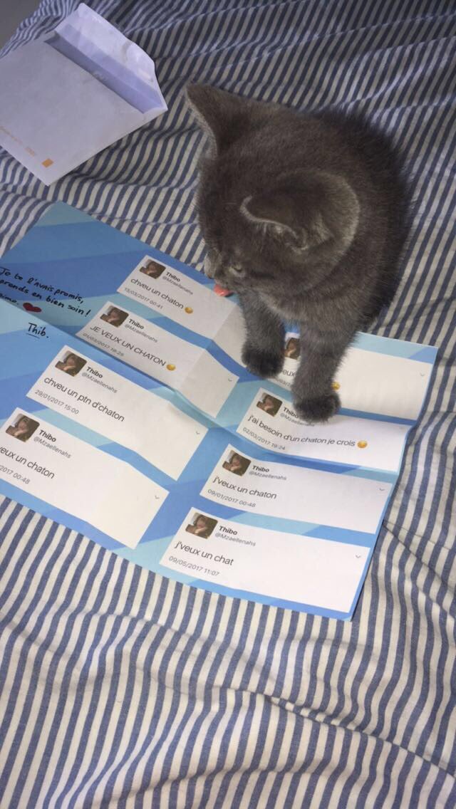 Mzaellenahs tweet picture