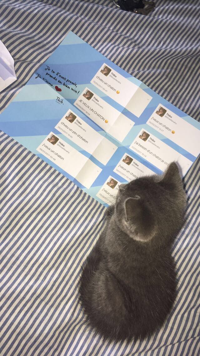 Mzaellenahs tweet picture