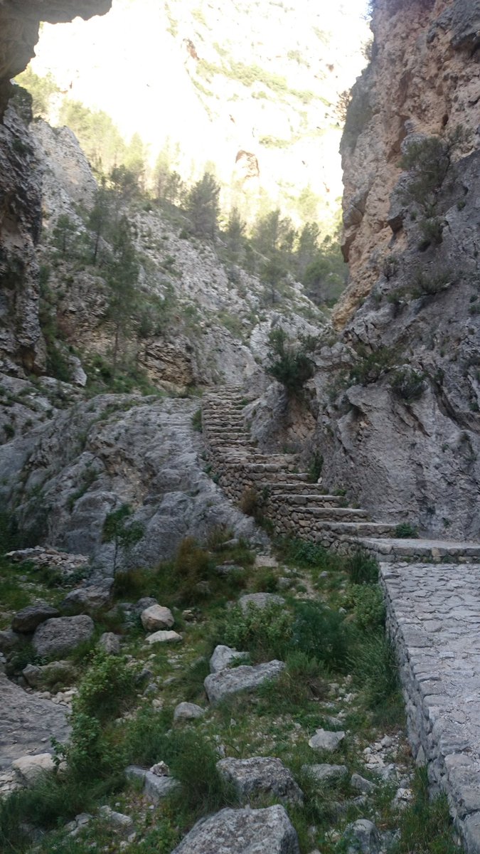 VidaTrekking's tweet photo. Barranc del Cint, serra de Mariola https://t.co/CgRK318mGD