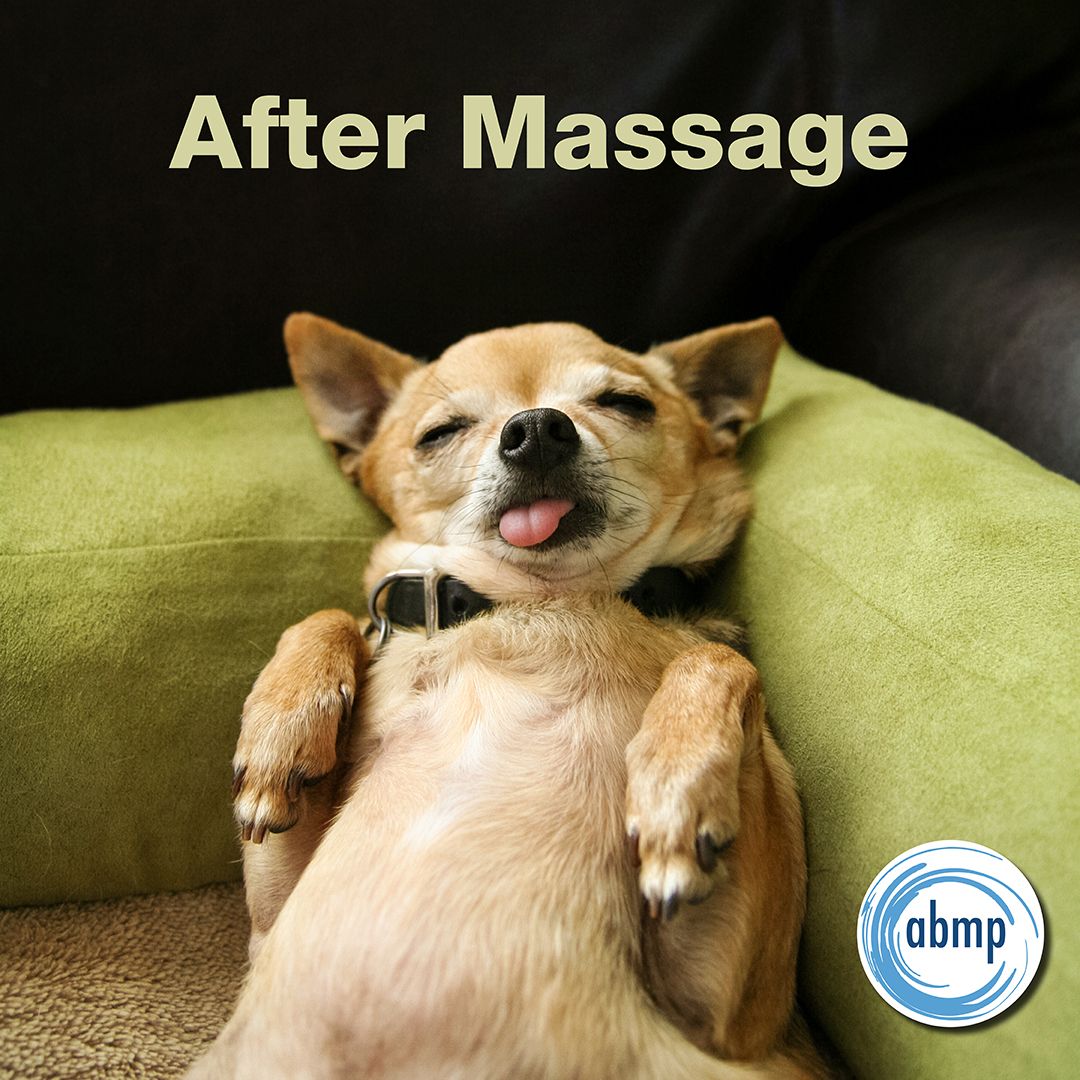 ABMPmassage's tweet photo. Share if you love massage bliss! https://t.co/2fSOUjVRsj