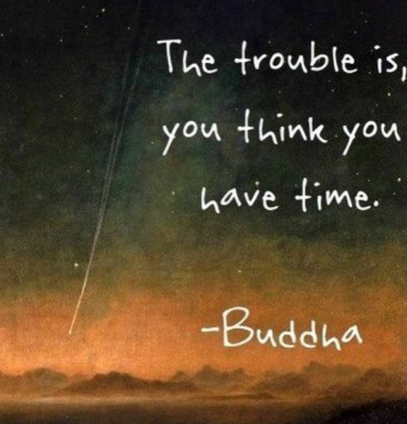 MathisBryant's tweet image. Facts