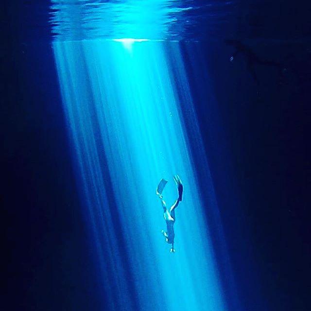 PADI's tweet photo. It's hard to describe it, you just have to try it. #Freediving the mystical #cenotes of Mexico with #PADI Instructor Trainer @deepseabonaire https://t.co/Icz1jMhO9a