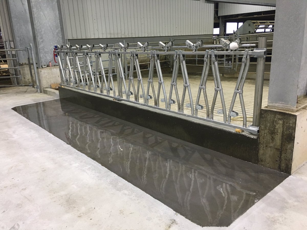 khschippers's tweet photo. Beautiful feed alley i coated at vyefield farms Abbotsford. #msschippers #coating #dairy #feedalley #epoxyfloor #lastsaliftetime https://t.co/1bzEbQnuMH