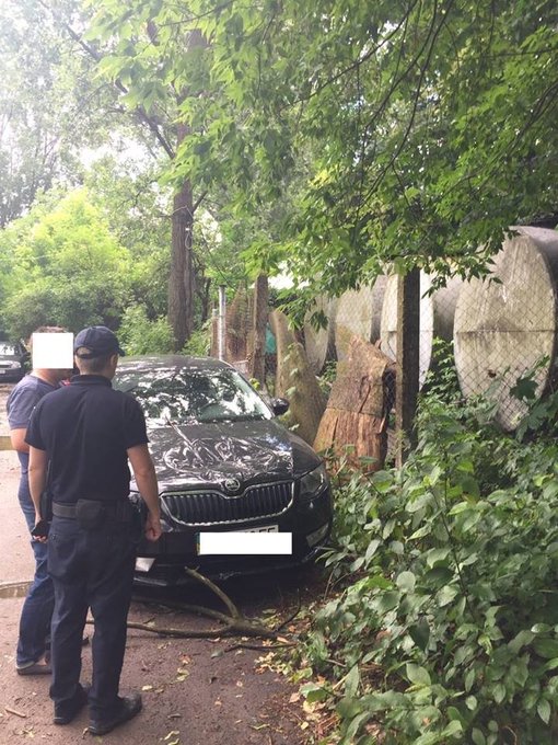 Посмотреть изображение в Твиттере