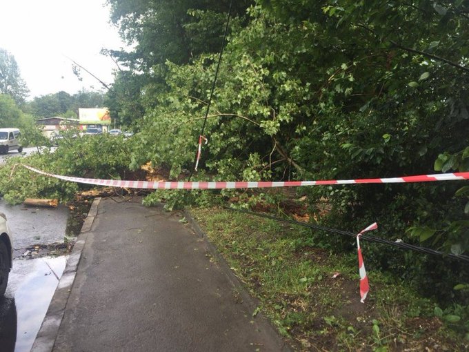 Посмотреть изображение в Твиттере