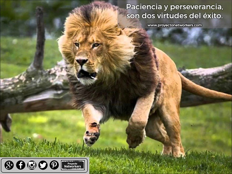 AdminProyecto's tweet photo. Virtudes de pocos!!! 
#ComoVamos  #NETWORKMARKETING  #networking https://t.co/TbEt2exwyU