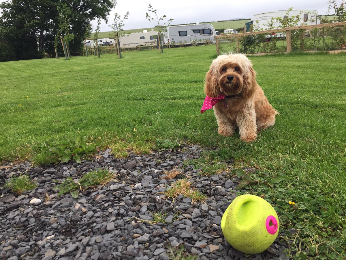 Caroline_Farrer's tweet image. Smart Marketing is on us holidays...
#Holgates #MakeTheDiscovery #ClientPerks @HolgatesCP