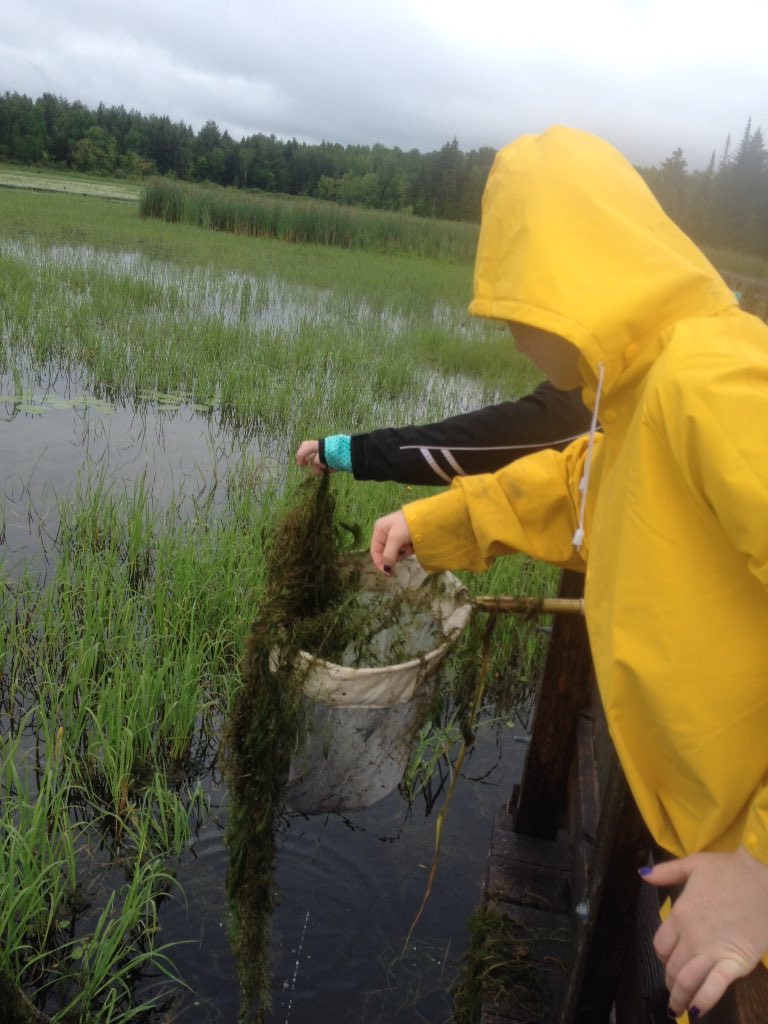kytemark's tweet photo. Great day @HRFrinkCentre #pondstudy #treecount #papermaking #funtimes #experientiallearning ss: "this is awesome!" https://t.co/YsiUenty5e