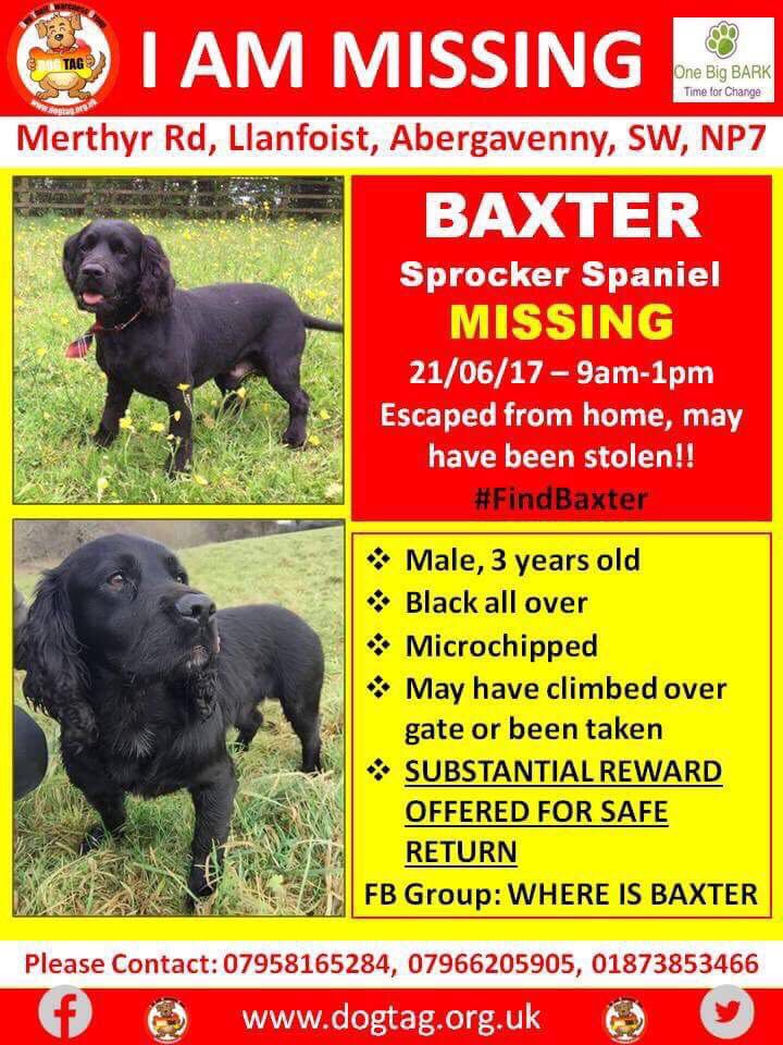 harrrdavies's tweet photo. Still not home. Please keep looking out for our Bax. 😔😔😔😔 #FINDBAXTER get him trending. We want him to been known!! https://t.co/cPwfK2z9qq
