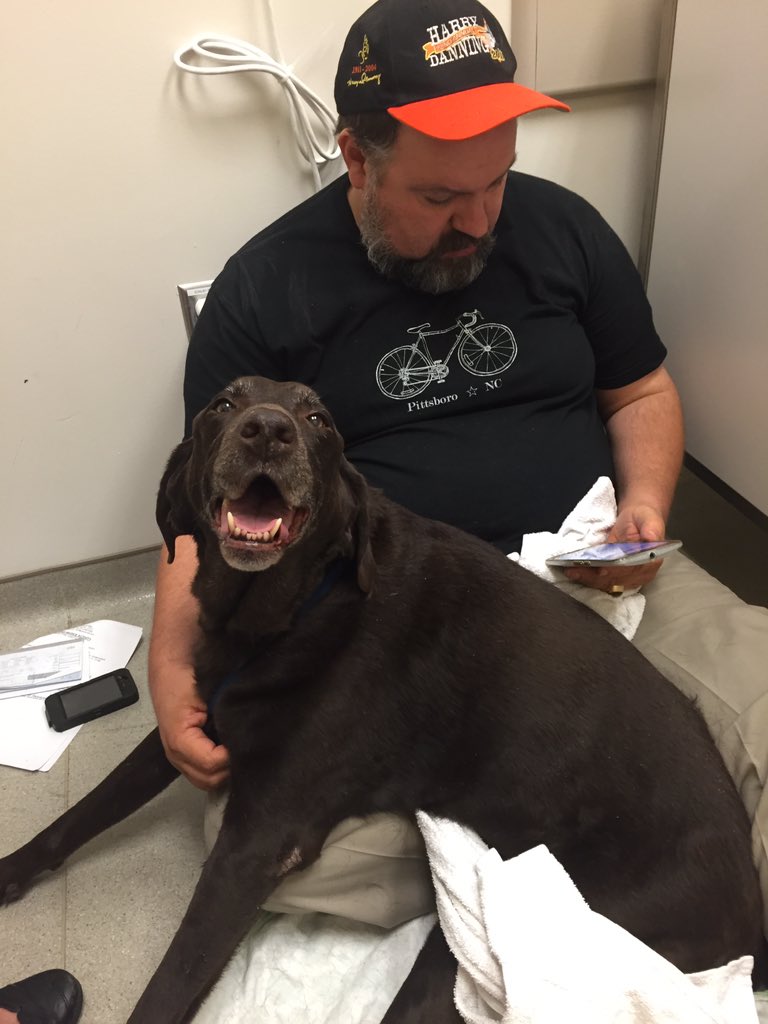 LesleyLandis's tweet photo. Found in my drafts: ❤️🐶🙁Grateful for all the emergency vet professionals who work on holidays. #LaborDay2015 https://t.co/rJsquaNGp7