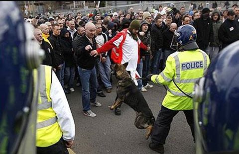 DontDitchTheDog's tweet photo. The power of ONE police dog
#DontDitchTheDogs https://t.co/DhV0SkBk83
