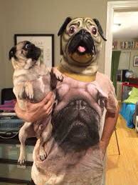 JBHIVofWWRG's tweet photo. #BringYourDogToWorkDay Ahhh, the joy of working from home on Friday! #pugsoftwitter #pugsarelove #DogDads #doglovers https://t.co/SOY9bIaN97