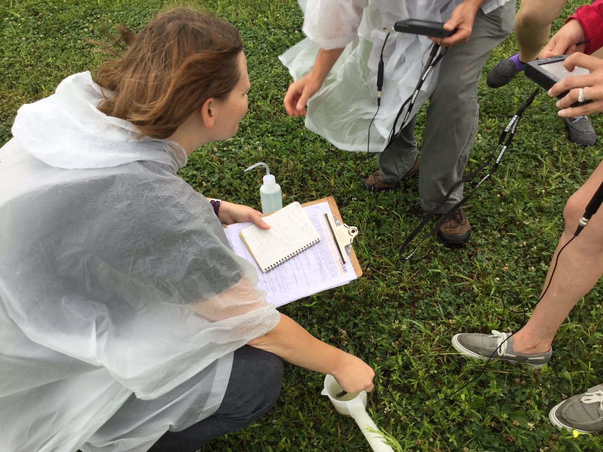 Activity 3.2.2 Water Quality Index Testing <a href="/case4learning/">CASE 4 Learning</a> #DelawareNRE #WetnWildNRE