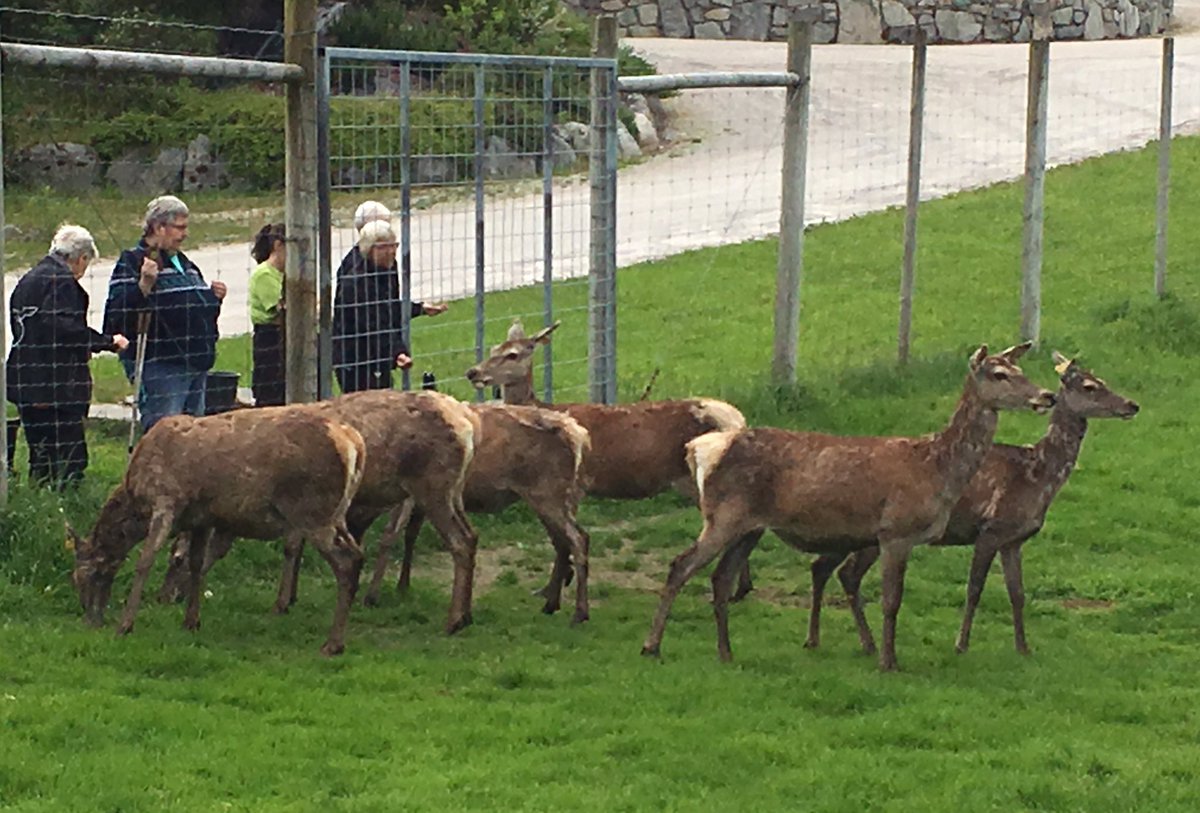 Kortreist mat fra Hitra