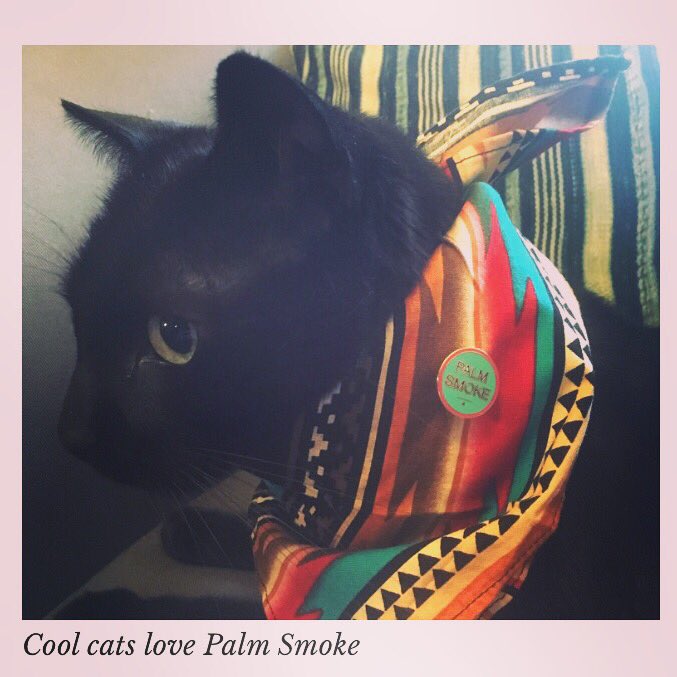 palmsmoke's tweet photo. Pepper is cool. Be like Pepper. https://t.co/neUHMbeM7m