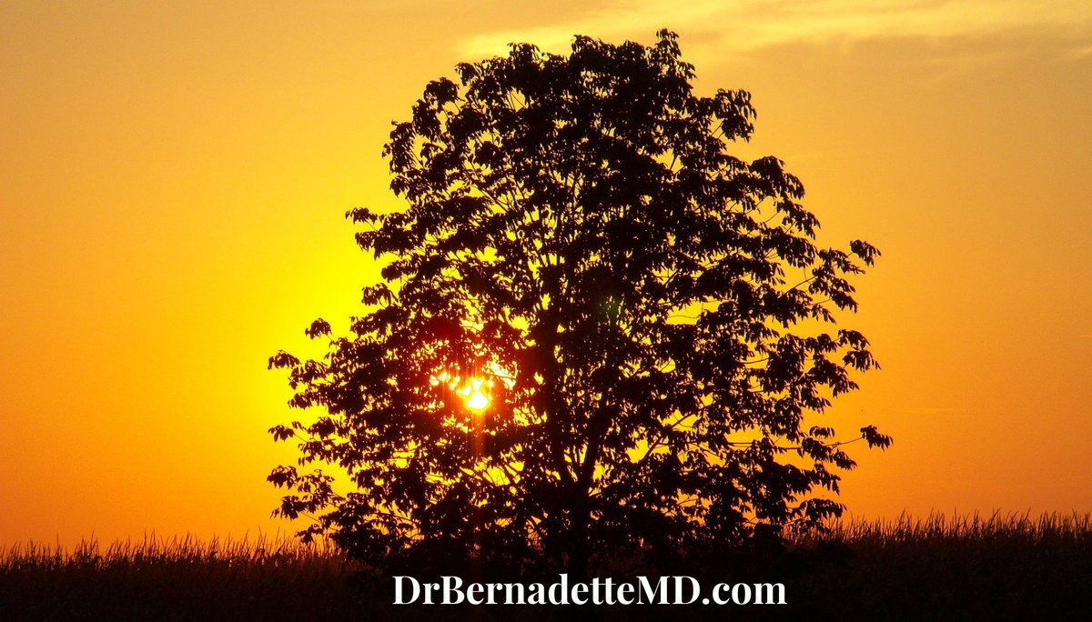 DrBernadetteMD's tweet photo. YEAH, you have #extradaylight today! What will you do especially nice for yourself on the #LongestFriday of the year? #HappyFriday https://t.co/MTKCW7iLlS
