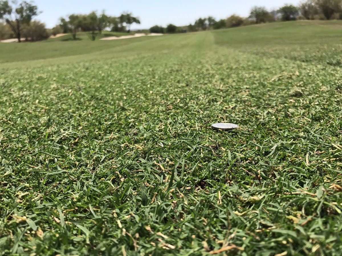 Jock Eddington/STS tweet media