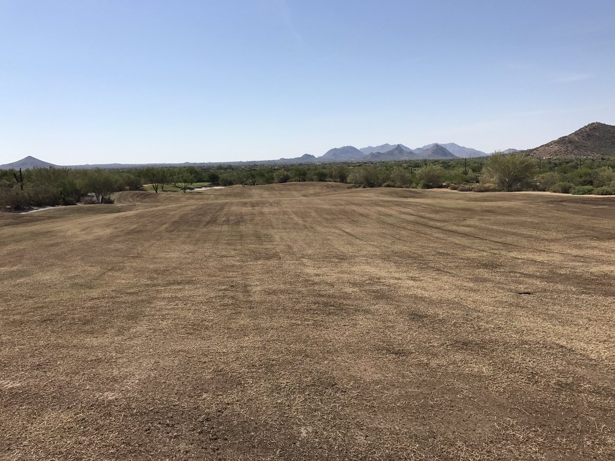 Jock Eddington/STS tweet media