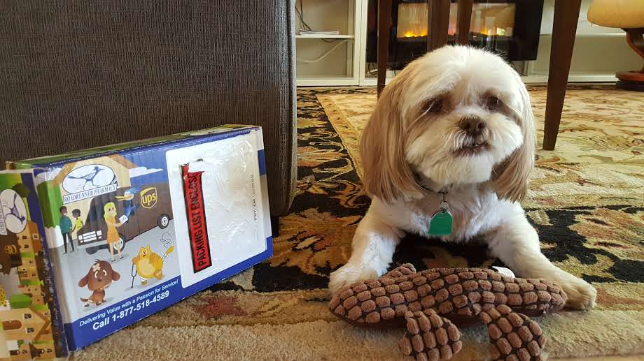 theBrokerList's tweet photo. ๐ฉ๐๐ถFinally a holiday for me! I am always at work here at tBL! I am here and ready to serve! ๐ถ๐๐ฉ #TakeYourDogToWorkDay #Toodlebug #CREmascot https://t.co/UiQQyMohwj
