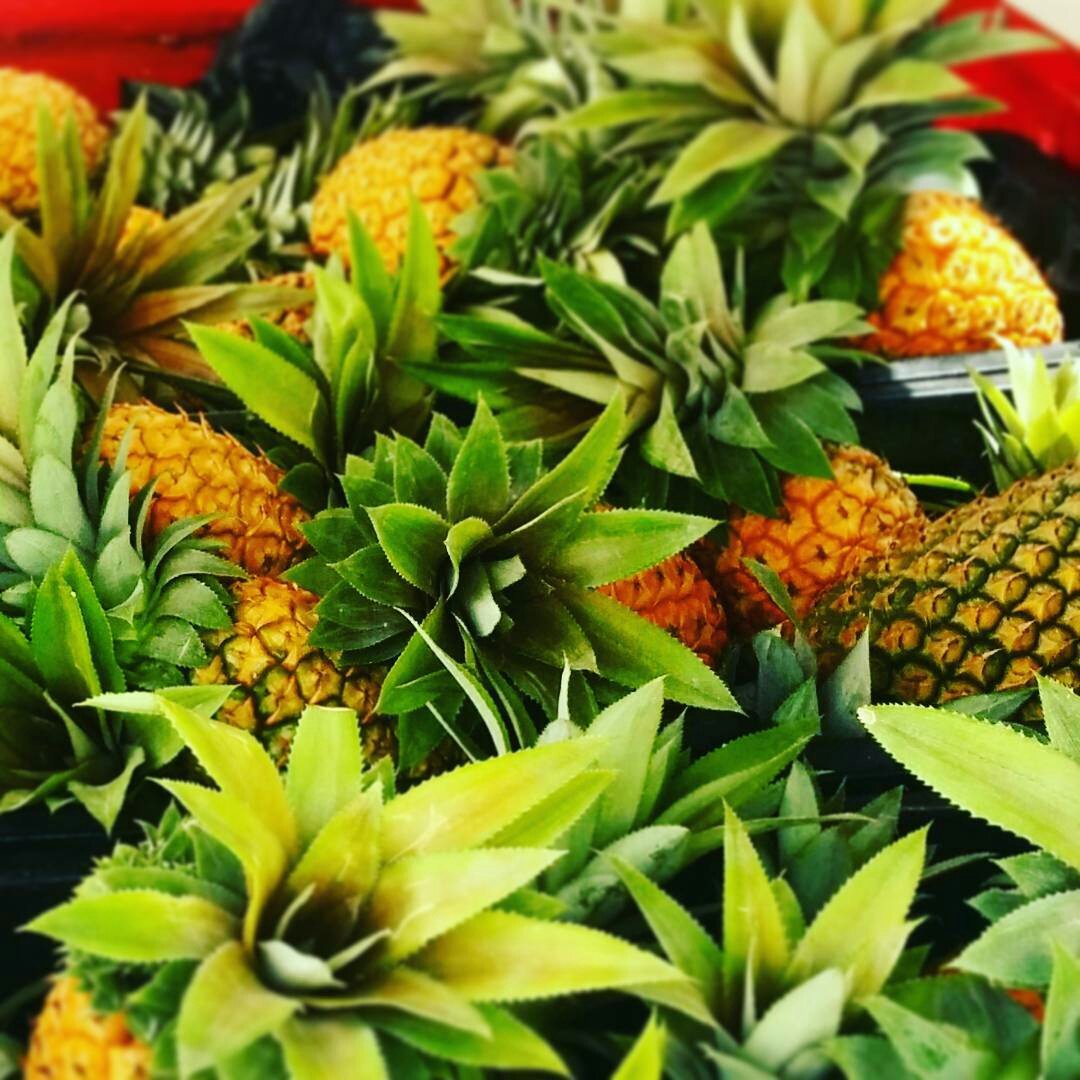 discovergd's tweet photo. The delicious varieties of #fruits and #vegetables our island produces is amazing ☺ 🍍Make sure you visit the various markets & fruit stalls! https://t.co/UB1MEqtURO