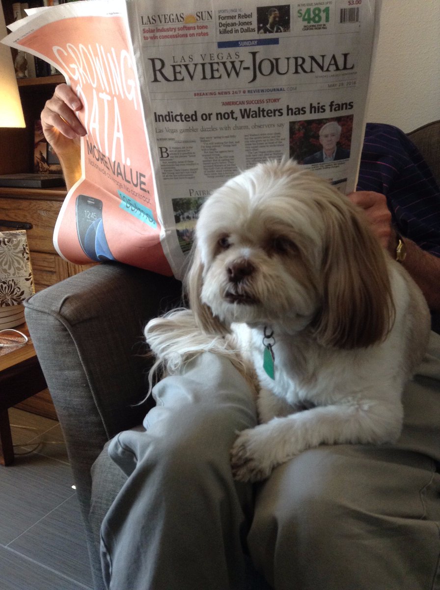 theBrokerList's tweet photo. ๐ฉ๐๐ถFinally a holiday for me! I am always at work here at tBL! I am here and ready to serve! ๐ถ๐๐ฉ #TakeYourDogToWorkDay #Toodlebug #CREmascot https://t.co/UiQQyMohwj