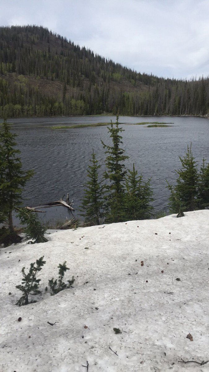 BleuJayOutfit's tweet photo. Getting into some higher country scouting! Our dedication is in full force these days!
#hunting #outdoors #muledeer https://t.co/8ExUPEbfBC