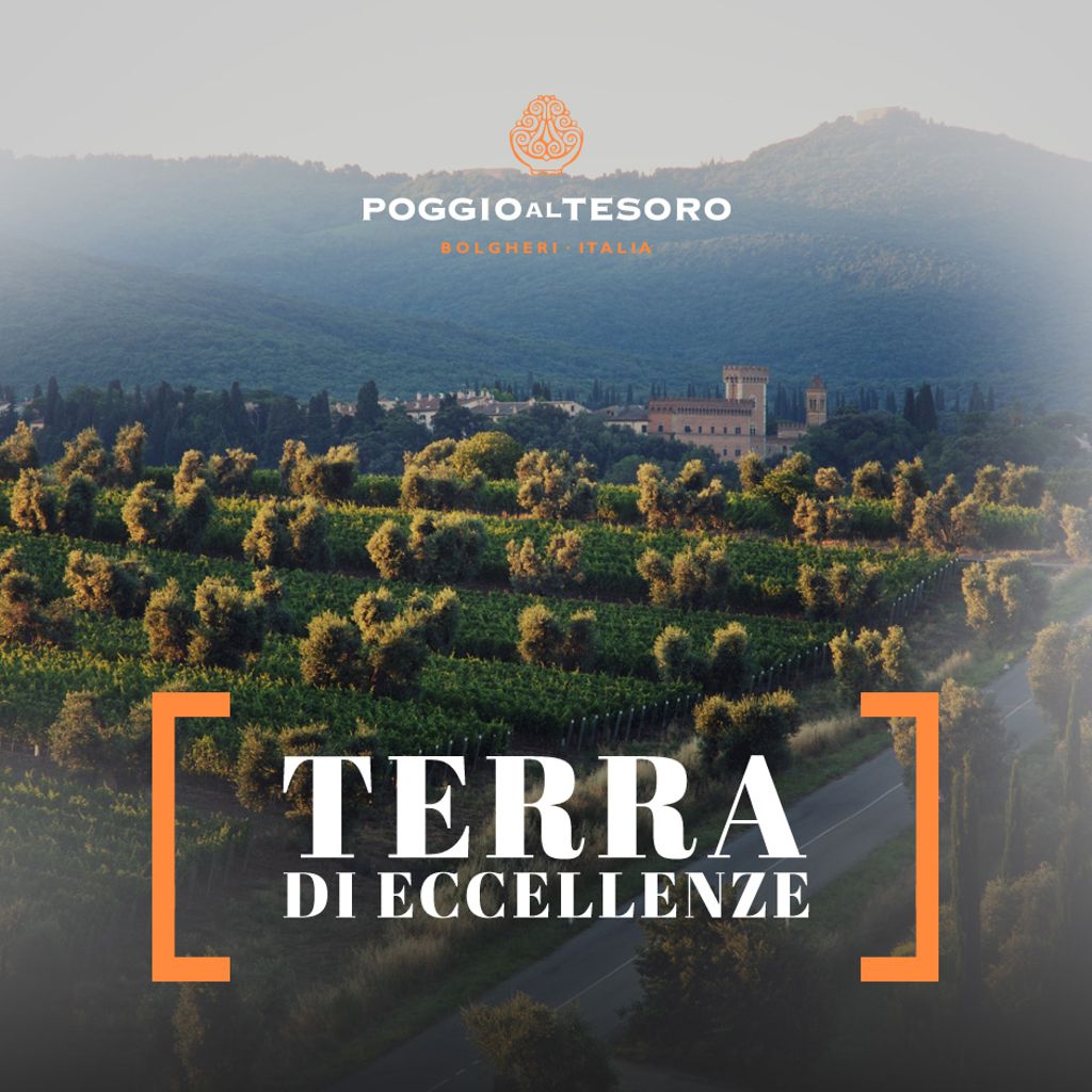 Vigneti, cantine, case coloniche, ville, uva e vino: lo spirito dei Grand Tour del 1700 si rinnova nel XXI secolo.
#poggioaltesoro #bolgheri