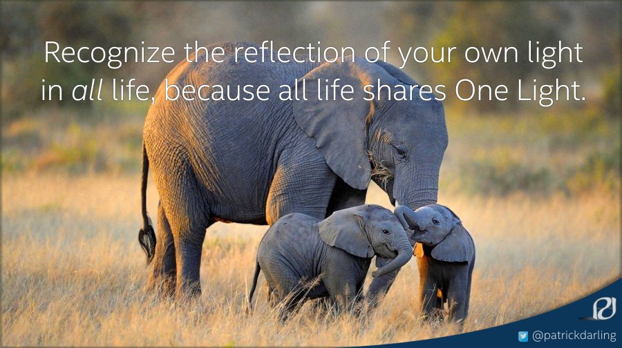 patrickdarling's tweet image. Nature is constantly reflecting &amp;amp; revealing the light of life that we all share - a light we see not with the body's eyes but with Vision.