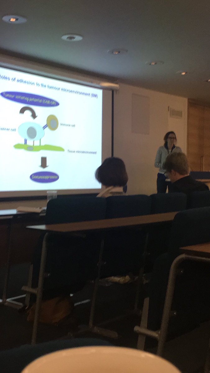 BeePereira94's tweet photo. Fascinating talk by @Yolandacalle on migration in the tumour micro environment at the Research Day at @UoR_LifeScience #UoR #HSRCresearch https://t.co/3eiQhB0Rvv