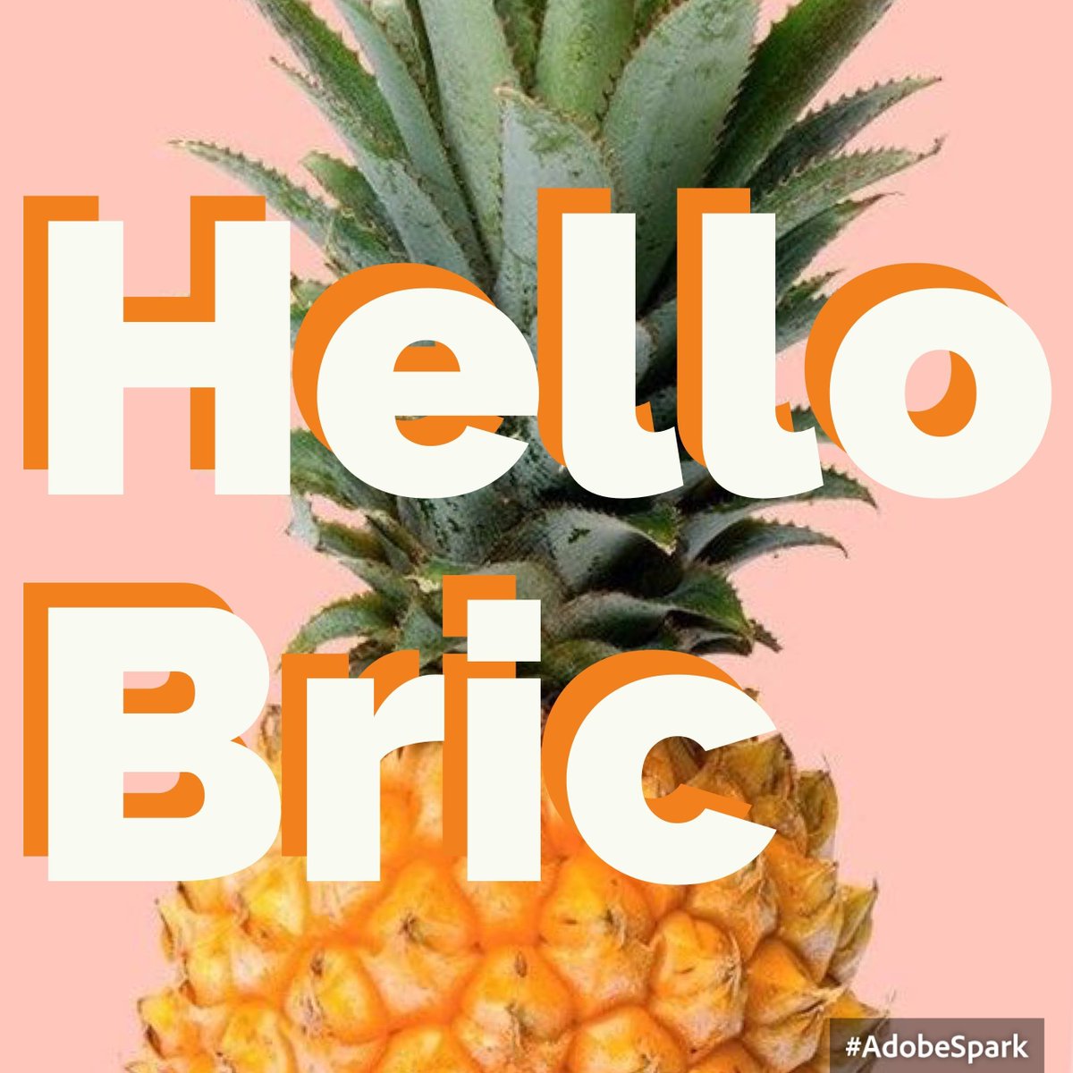 It's Official! Bric is on Instagram follow us at instagram.com/getbric/