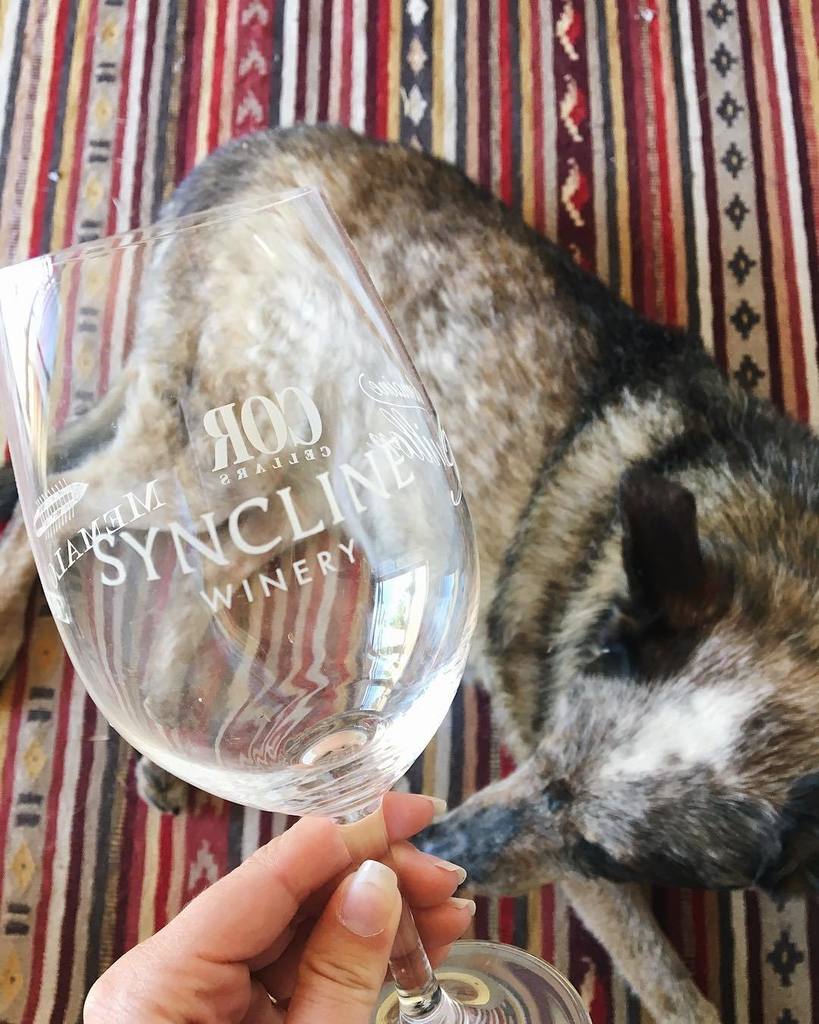 synclinewine's tweet photo. Lyle Wine Weekend has finally arrived! Join us today - Sunday 11-6 for an amazing tasting experience! #lylestyle #wawineries #columbiariver… https://t.co/dyoGZASZB9