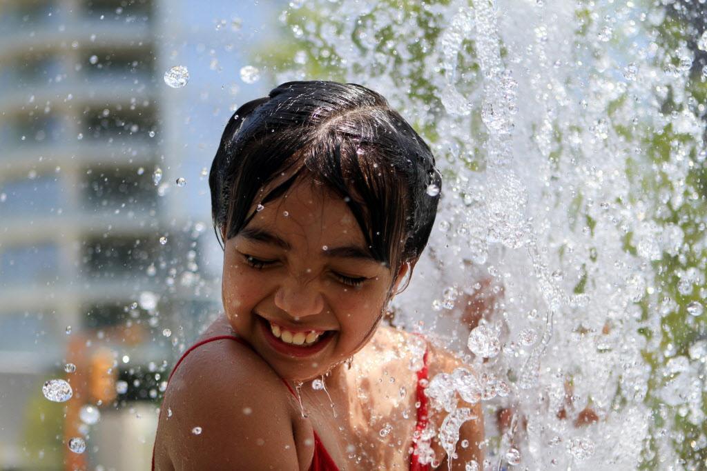 Dallas Morning News tweet media