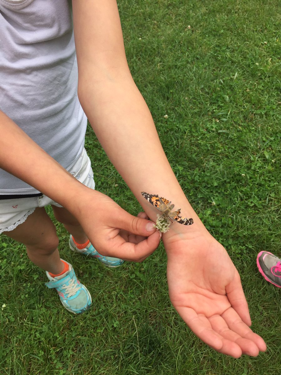 Chine Drive PS tweet media