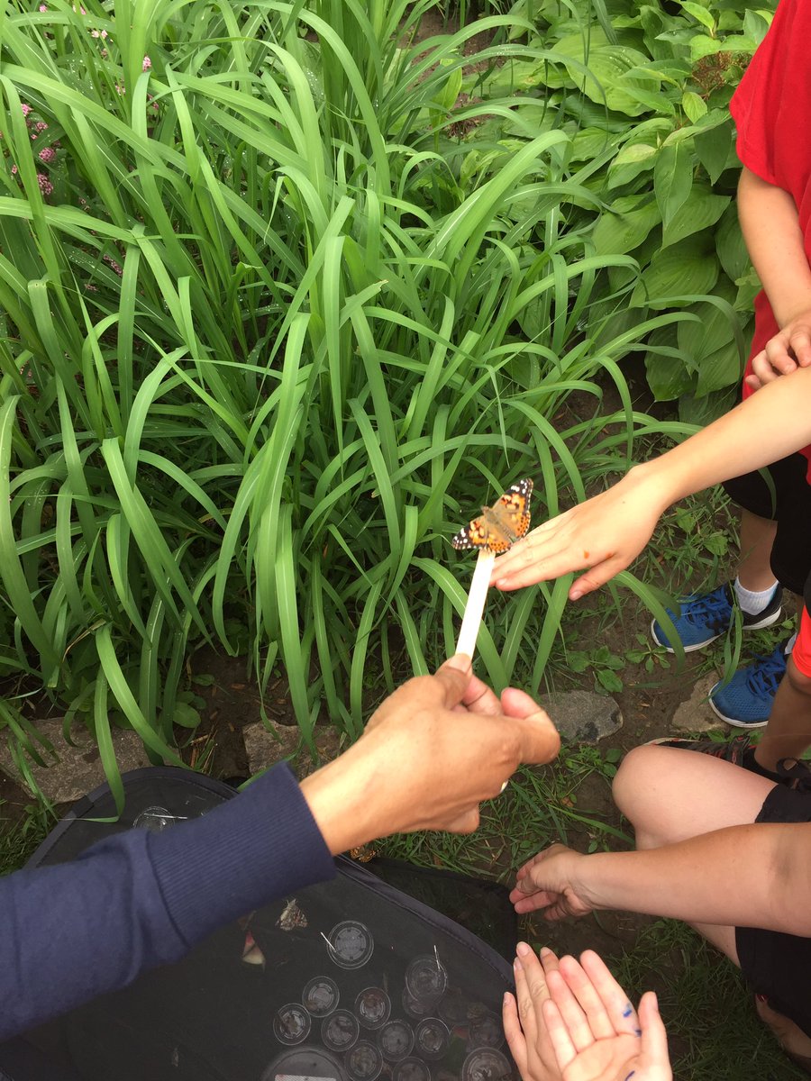 Chine Drive PS tweet media