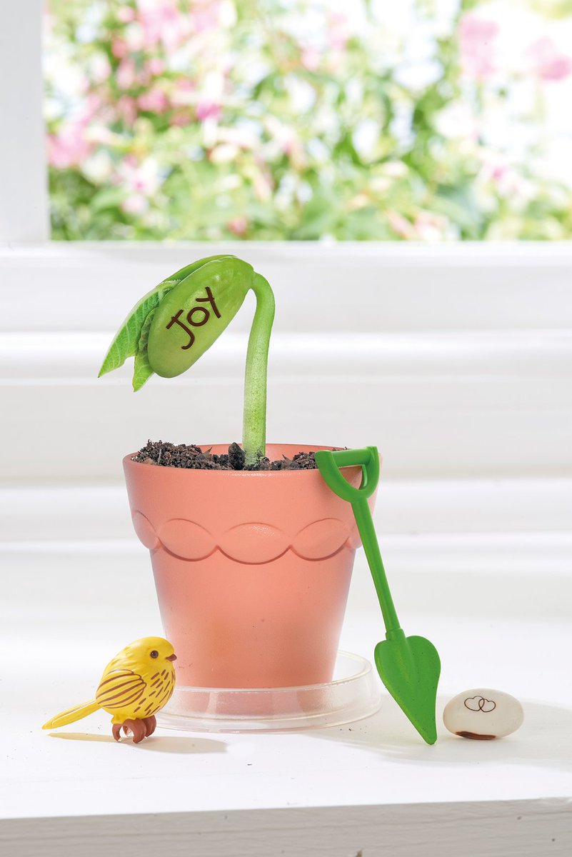 MyFairyGardenUK's tweet photo. For your chance to #win 3 #MyFairyGarden sets simply RT/FLW ends 26/06/17 at 6pm #FairyGiveaway #NationalFairyDay #FreebieFriday https://t.co/bWgVkfKTsV