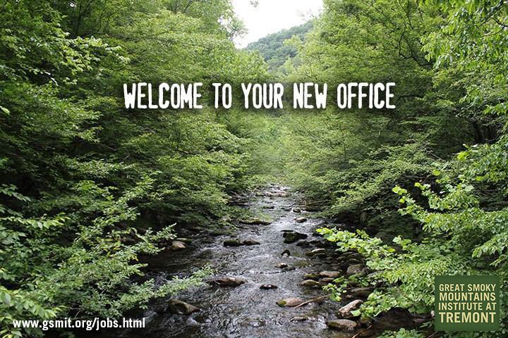 gsmitremont's tweet photo. Tremont is hiring a Coordinator for Youth Programs! https://t.co/9FZQpk3ljE https://t.co/ukCquVU3M6
