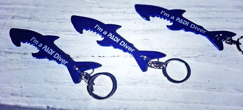 DiveTimeAbaco's tweet photo. Proud to be a PADI diver? You should be, its the way the world learns to dive. https://t.co/BSx1puEtiR