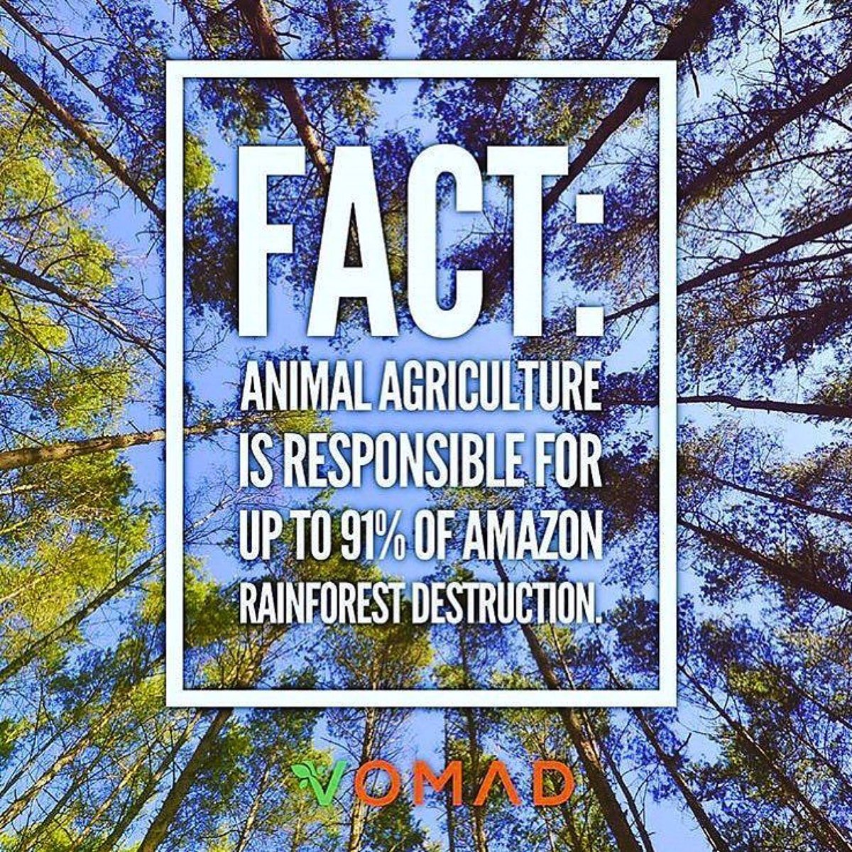 "You can make a huge impact just by eliminating animal products from your diet."