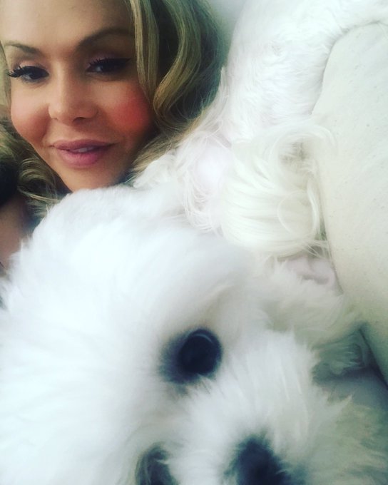 Cuddling my baby! #maltese https://t.co/hDHpwemMVp<a href="/tag/maltese"class="tags">#maltese</a>