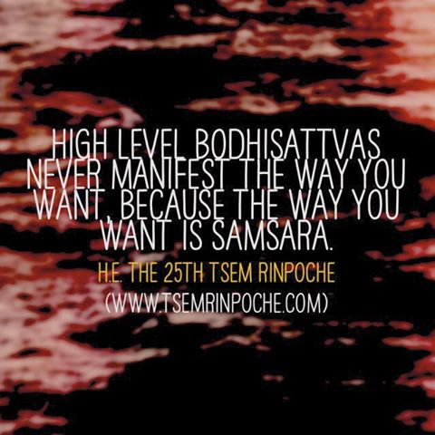 frozbyte's tweet photo. With @tsemtulku you know real #compassion exists
#perseverance
#compassion
#happiness
#altruism
#giving
#spirituality
#focusout
#wisdom https://t.co/oDI1AMsbej