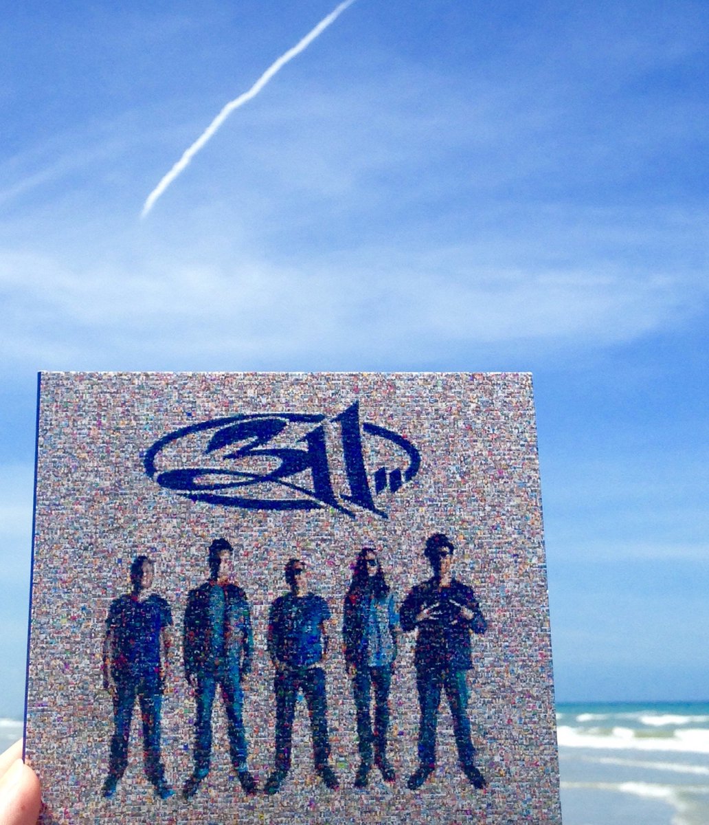 311 tweet media