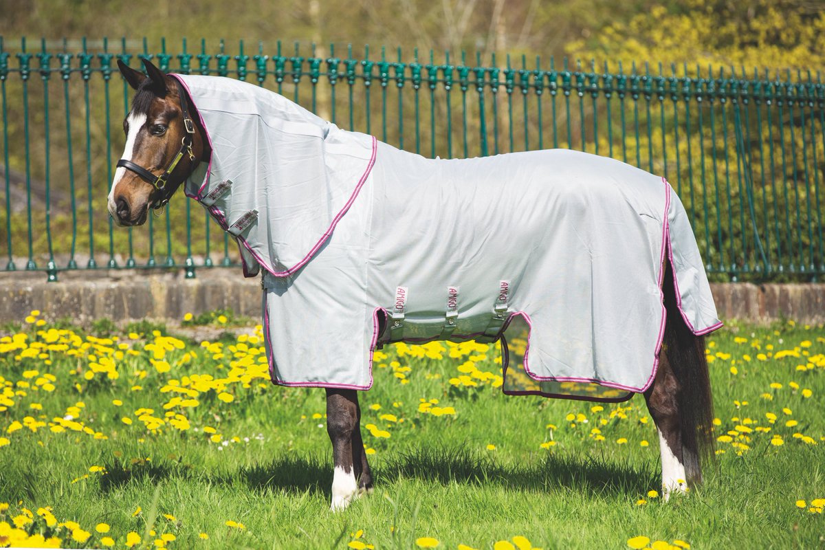 COMPETITION
RT &amp; Follow <a href="/Horseware/">Horseware Ireland</a> for a Chance to WIN a Amigo Bug Buster Fly Sheet with Vamoose Technology Draw Sunday 8-9pm at #EquineHour